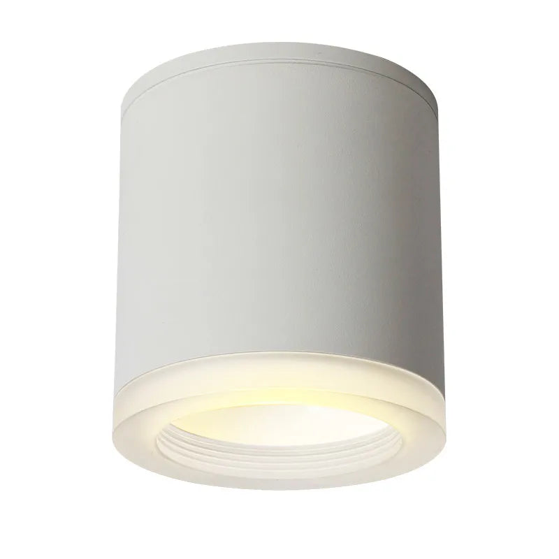 Purity Surface LED Downlight - White