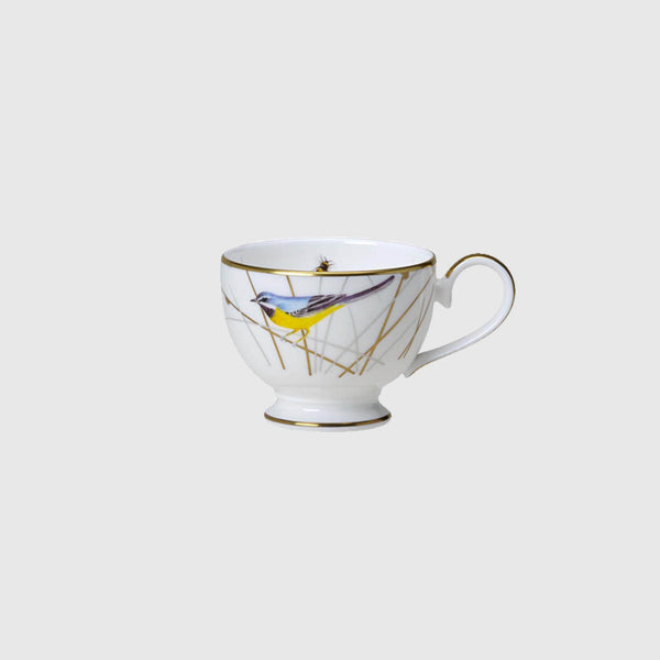 Avian - Bone China Coffee Cups - Set of 12