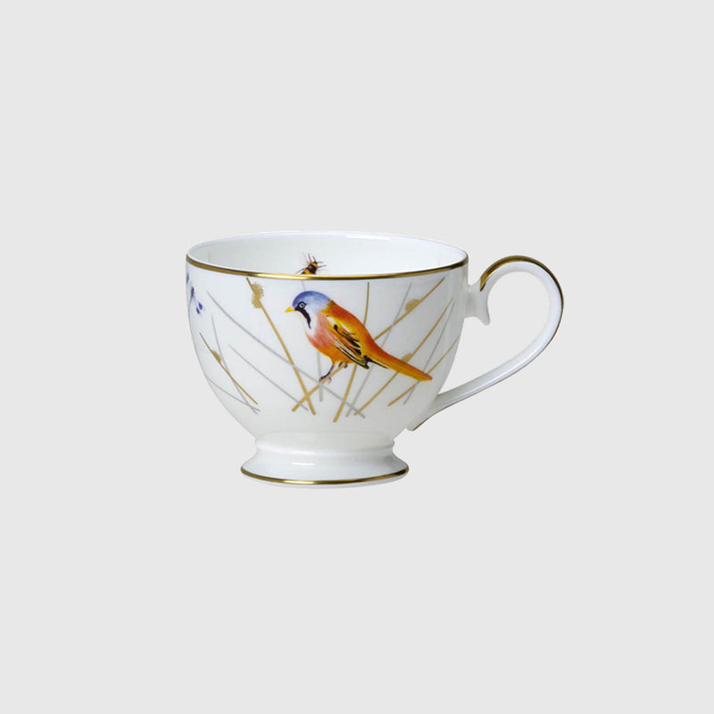 Avian - Bone China Tea Cups & Saucers - Set of 12